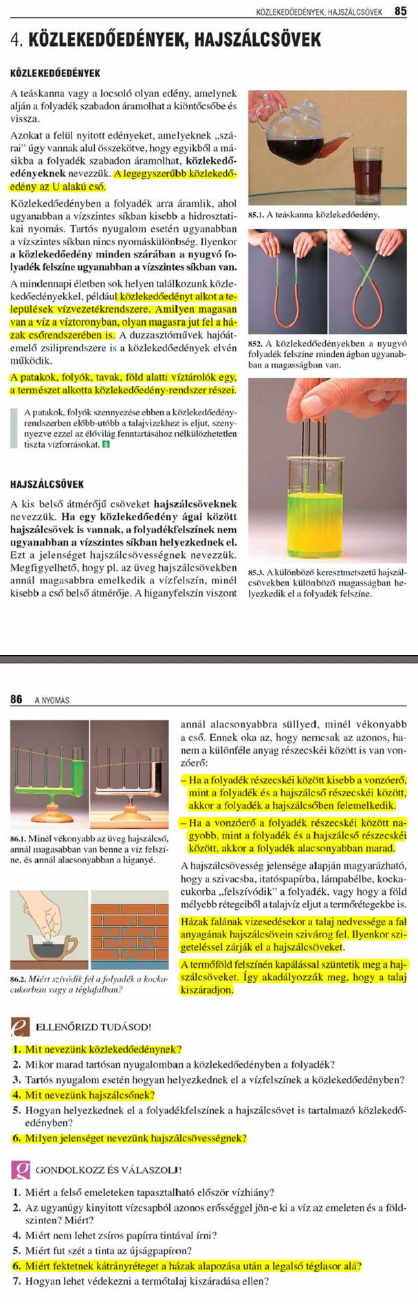 D4. Közlekedőedények, hajszálcsövek	85  