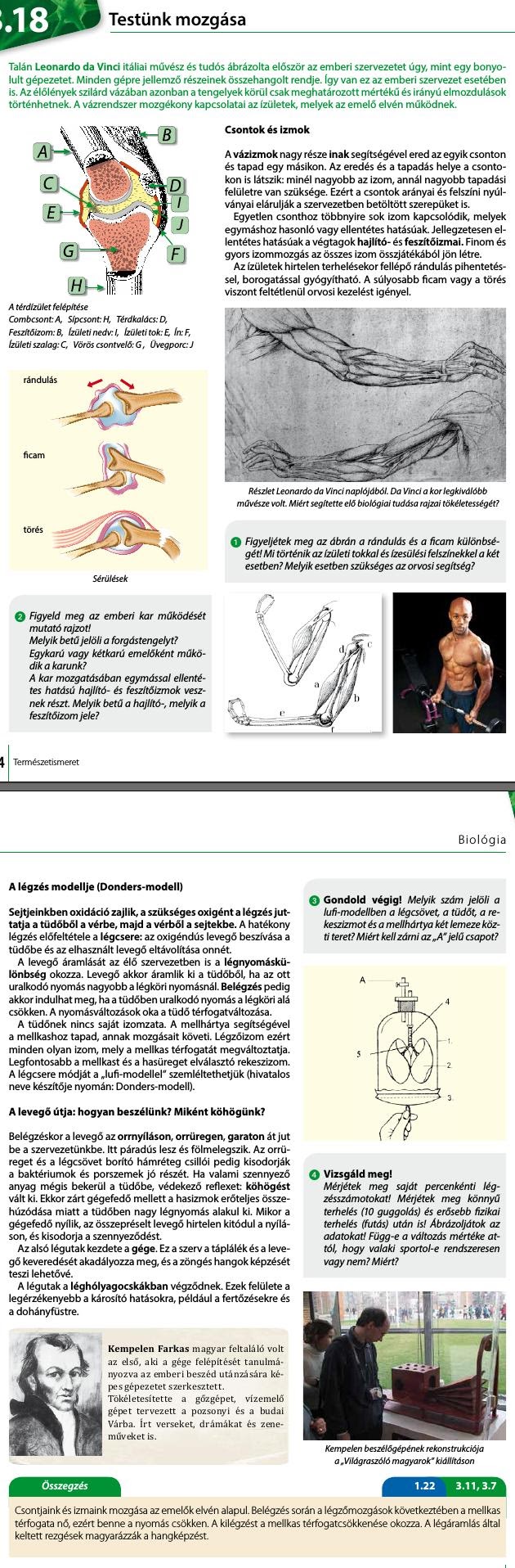 18. Testünk mozgása