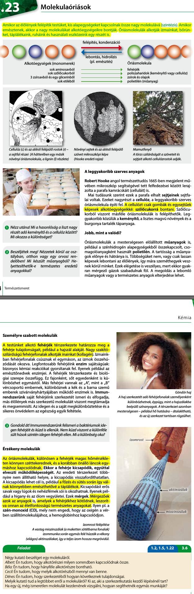 23. Molekulaóriások