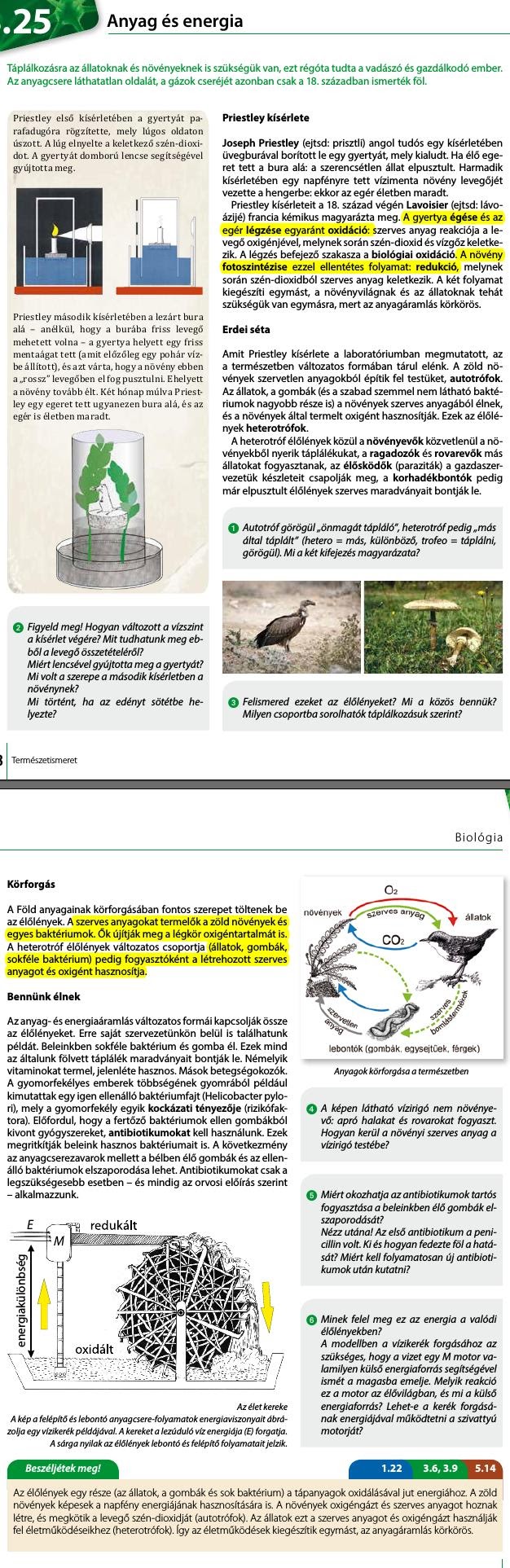 25. Anyag és energia